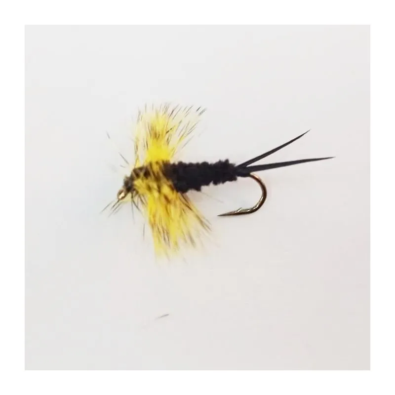 Isca de Fly Montana #10