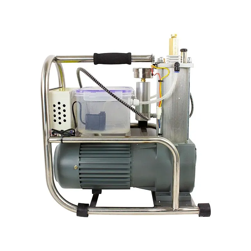 Compressor Ar Comprimido Para Carabinas Pcp 200Bar - Rossi