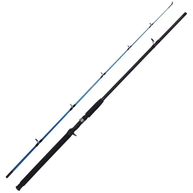 Vara Saint Hard Line 2102 BC 50-100g Carret 2 Partes