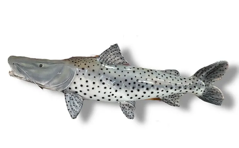 Peixe Pintado de Parede de Resina Ornamental