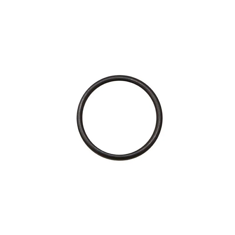 Anel Vedação Anterior Carregador CFX - Gamo