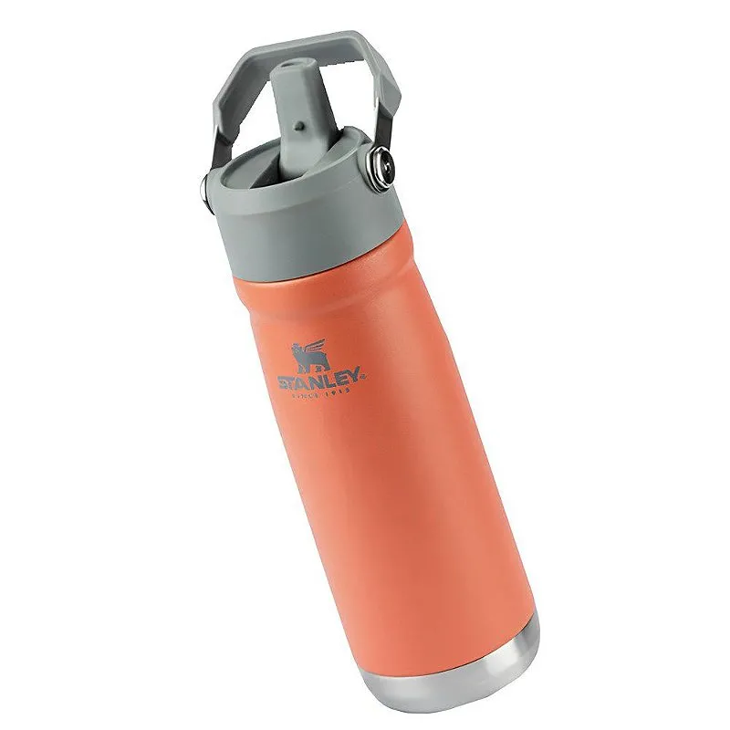 Garrafa Térmica Flip Straw 651Ml Guava- Stanley
