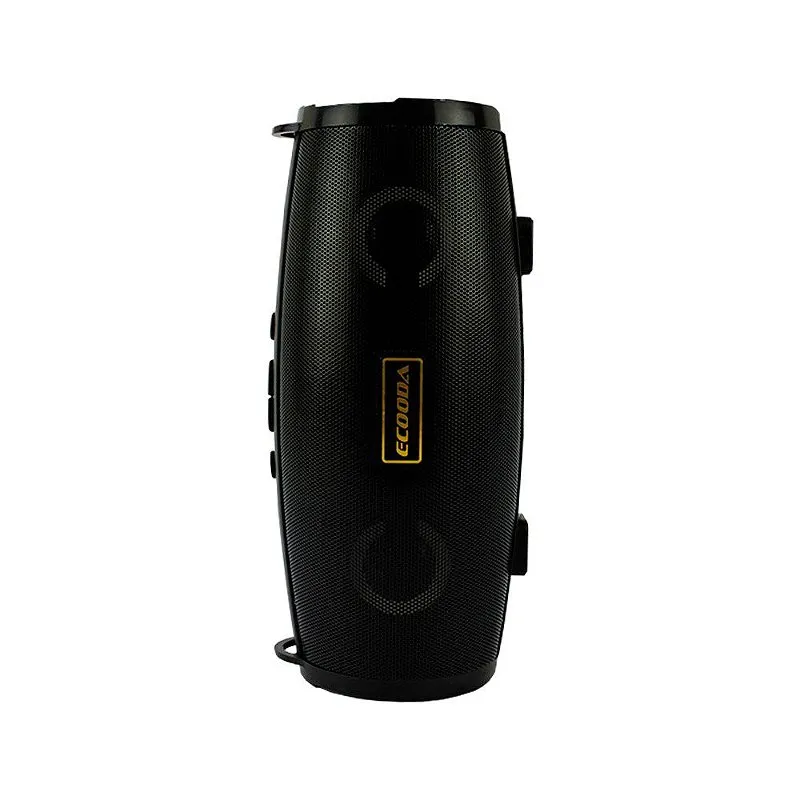 Rádio Alto Falante Portátil USB Com Alça - Ecooda