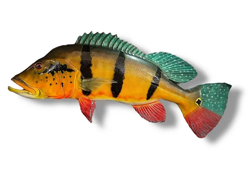 Peixe Tucunaré Açu 94 cm de Resina Ornamental para Parede