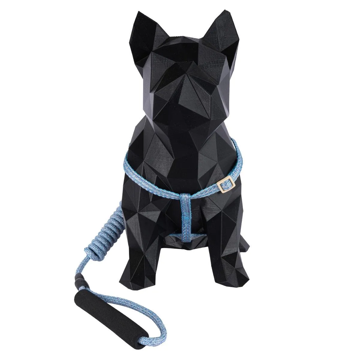 Coleira e Guia com Amortecedor M - PAWS