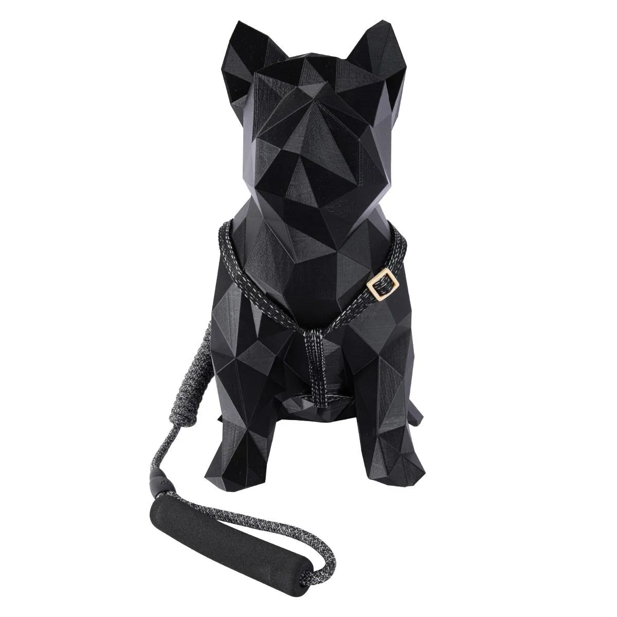 Coleira e Guia com Amortecedor P - PAWS