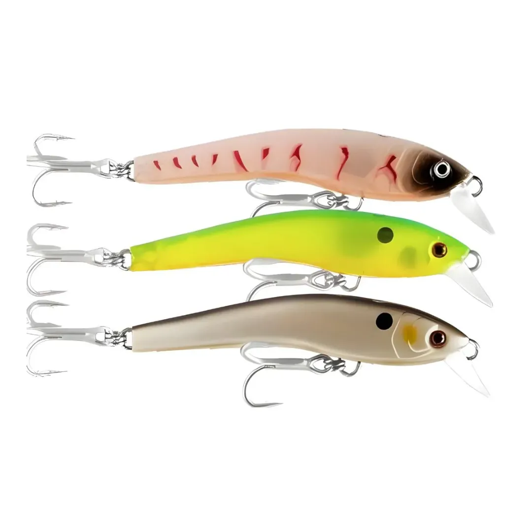 Isca Lucky - Suki 7,5 - Nelson Nakamura