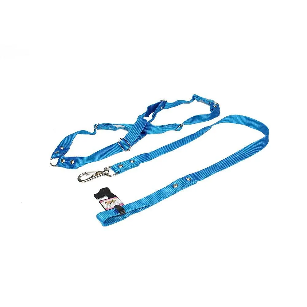 Conjunto Guia para Cachorro Com Peitoral N4 -