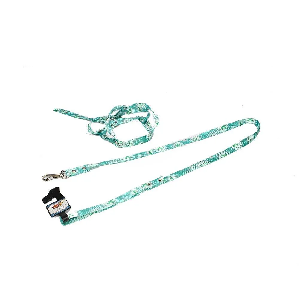 Conjunto de Guia para Cachorro com Peitoral N4